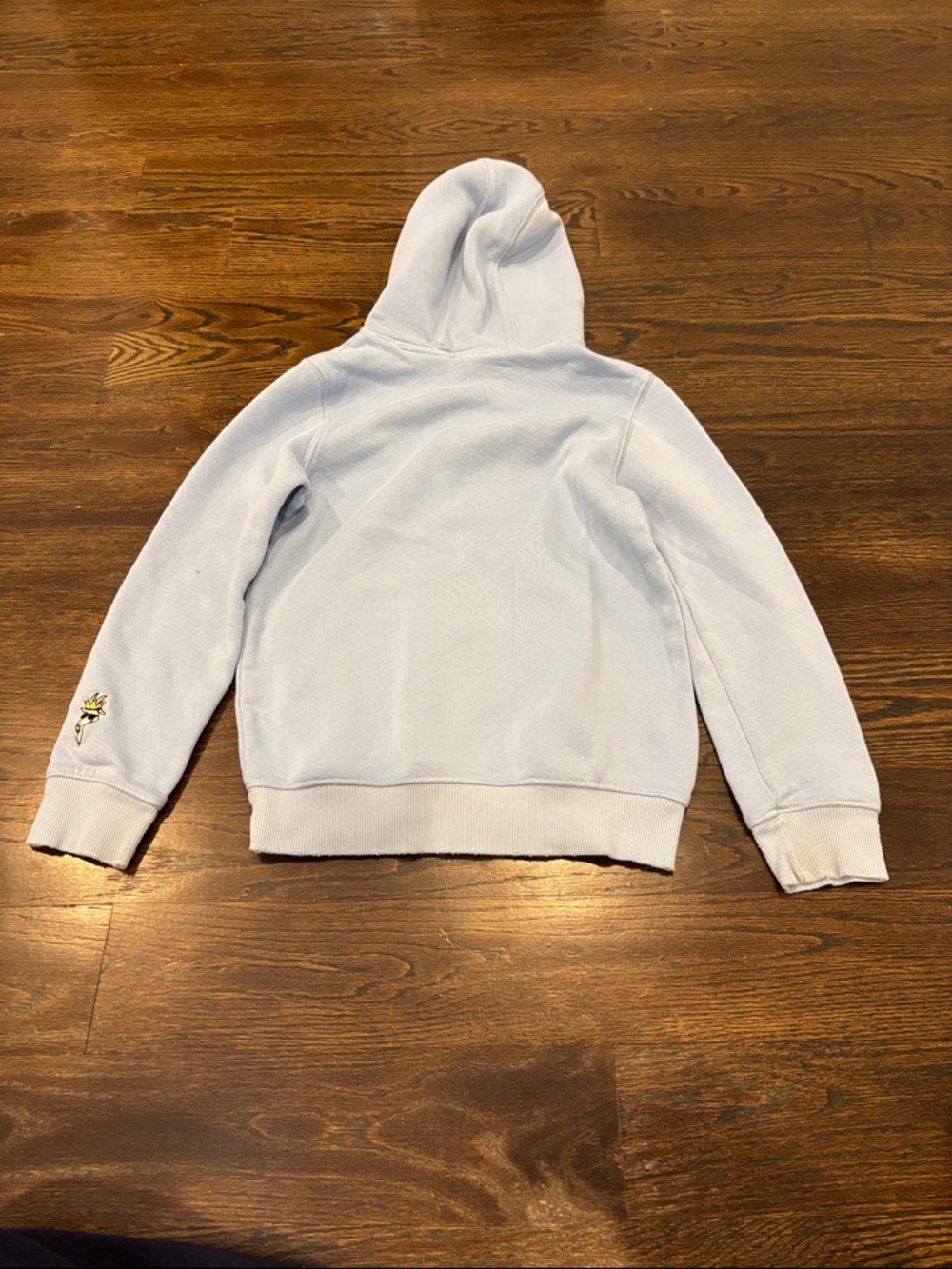 GOAT USA Boys Light Blue Pullover Hoodie Size Medium - Picture 2 of 5
